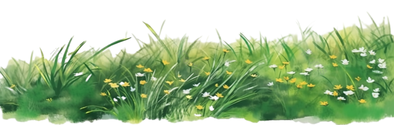 元素图片,户外元素,夏天PNG,插画免抠素材